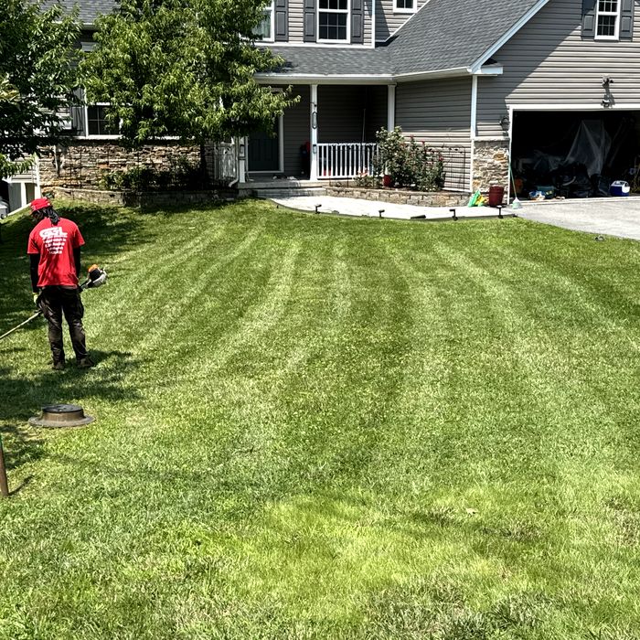 Crew trimming the edge of a freshly striped front lawn