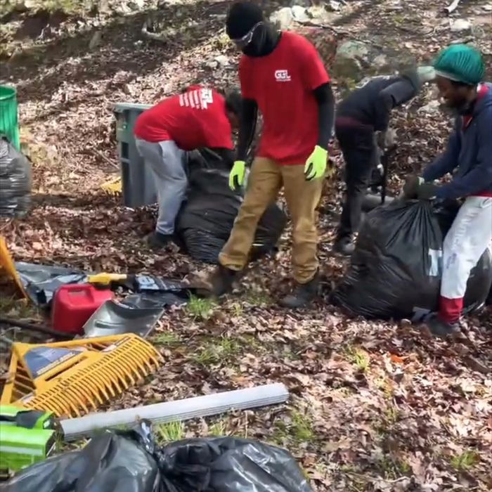 Crew bagging leaves during a property cleanup